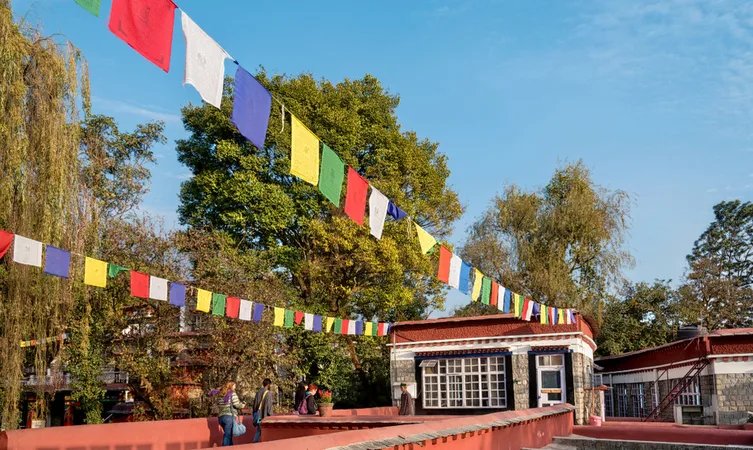 tour & travel mount abu